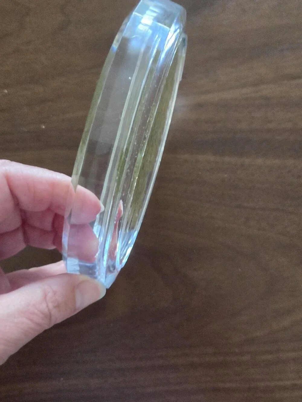 Oval Nature Themed  Soap Dish - Clear  with Green Leaves/Blue Flower